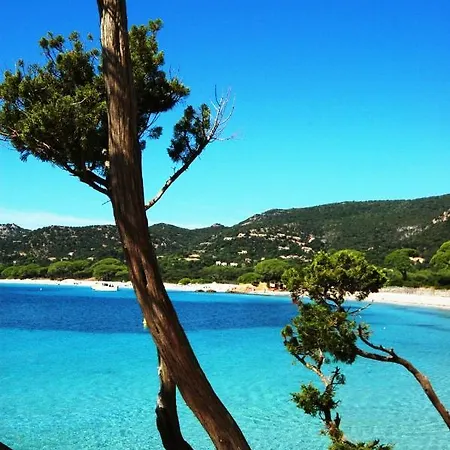 With Air Conditioning 4 People 500 M Sea Near Porto Vecchio Appartamento
