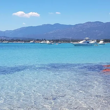 Apartmán With Air Conditioning 4 People 500 M Sea Near Porto Vecchio